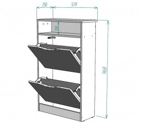 Обувница W6 (ДСС) в Новоуральске - novouralsk.mebel-e96.ru