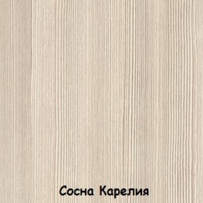 Шкаф 900 мм 2-х створчатый ДМ-02 Серия 2 (СВ) в Новоуральске - novouralsk.mebel-e96.ru