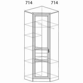 Шкаф для одежды угловой Лира 57 (Яна) в Новоуральске - novouralsk.mebel-e96.ru