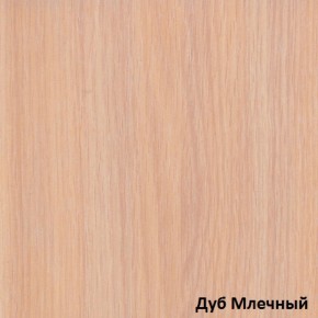 Шкаф-купе Рио 1-600 Амели (полки справа) в Новоуральске - novouralsk.mebel-e96.ru