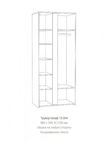 Шкаф Трувор 13.204 в Новоуральске - novouralsk.mebel-e96.ru